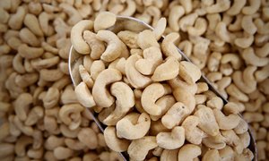 Cashews, Roasted & Salted
