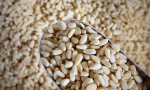 Christmas Baking Essentials: Pine Nuts
