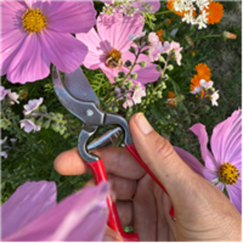 Red Gardening Pruners