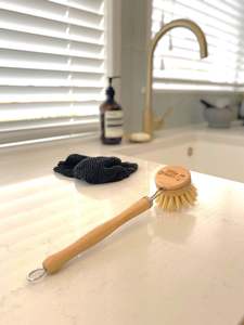 Little Green Dish Brush & Handle