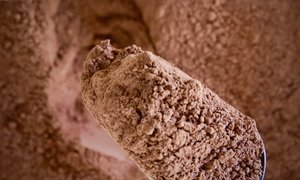 Carob Powder