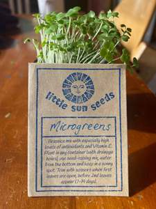 Household: Little Sun Seeds Organic Microgreen