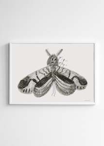 Butterfly Poster