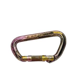 Climb: Multi-Colour Camp Italy Screwgate Carabiner
