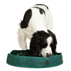 Stimulating Feeder Mat