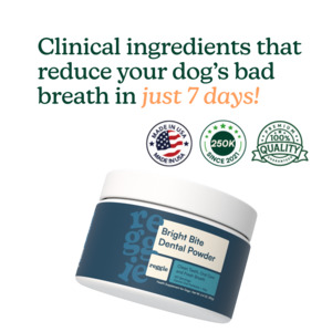 Bestsellers: Bright Bite Dental Powder