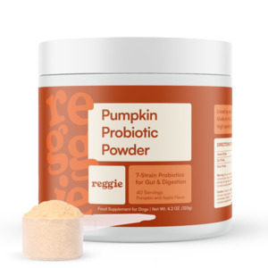 Wellness: Pumpkin Probiotic Powder
