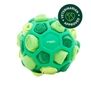 Snuffle Ball For Dogs