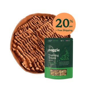 High-Protein Snuffle Mat Bundle brown