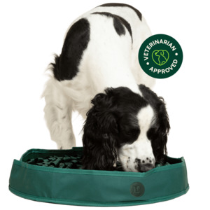 Stimulating Snuffle Mat For Dog