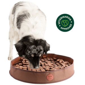 Stimulating Snuffle Mat For Dog