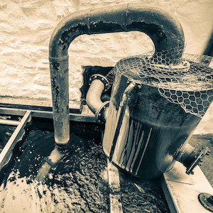 Worm tubs with Daniel Bruce McLaren - Monday 20 October, 6pm, $80