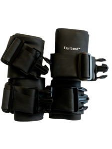 Products: Additional Equiband® Set Equine Physio NZ