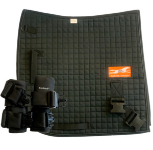 Products: Complete Equiband® System Equine Physio NZ