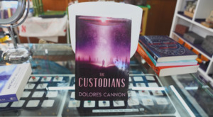 New Arrival: The Custodians: Beyond Abduction