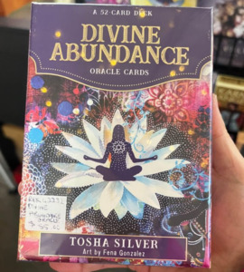 Divine Abundance by Tosha Silver