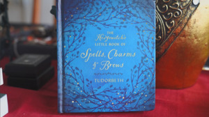 Books: Little Book of SPELLS, CHARMS & BREWS