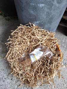 10cm Desert Sage Smudge Stick