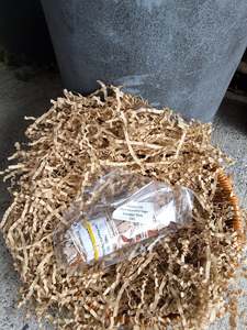 10cm Peaceful Sage Smudge Stick