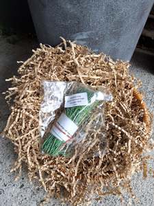 10cm Patchouli Sage Smudge Stick