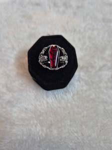 Red Coffin Skeleton Ring