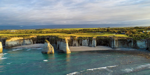 5 Day Unique TranzAlpine & West Coast