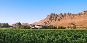 Products: 4 Day Hawke’s Bay Food & Wine Adventure