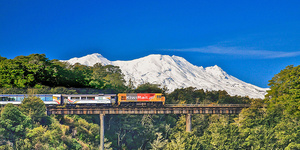 7 Day New Zealand Rail Experience