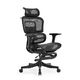 Ergonomic Mesh Office Chair – High Back Desk Chair with Lumbar Support & Adjustable Height