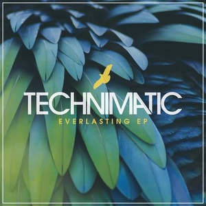 Electronic Electronica: TECHNIMATIC-EVERLASTING BLUE MARBLED VINYL 12" EP NM COVER EX