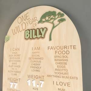 Birthday Boards: One Wild Year | Milestone Birthday Board