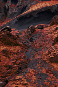 dalnum - Remarkable Studios