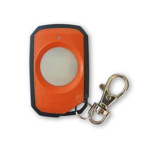 Elsema: Elsema Pentafob 1 Button Remote FOB43301L