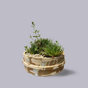 Jody Martin: Jody Martin | Bonsai Planter | Sandstorm on Tongariro