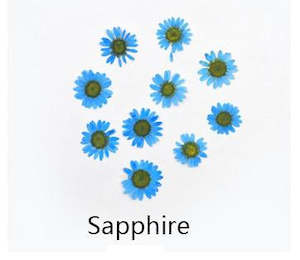 Real Dried Flower: Real Dried Flower - Chrysanthemum