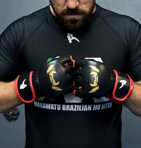 Products: Fangs MMA Gloves respectsports