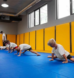 Products: MatDefense Concentrated Tatami Mat Cleaner respectsports