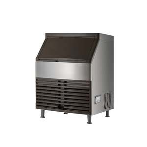 Blizzard Ice Maker Air Cooled SN-210P