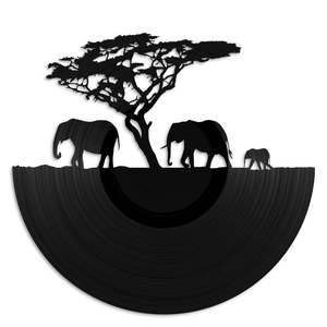 African Sunset