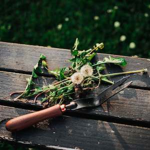 Garden Outdoor: Weeding Fork | BAREBONES