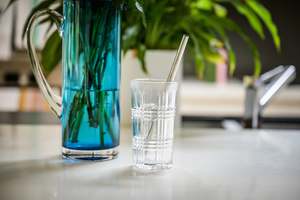 Kitchen: Smoothie Straw Pack | CW