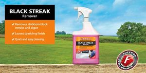 Cleaning: Fenwicks Black Streak Remover 1.0L