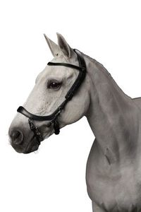 Presteq FaySport Bridle