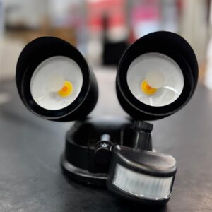Sal 50w Floodlight Cct