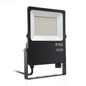 Twin Par38 Sensor Light Led