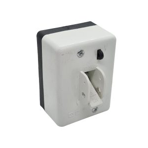 2 Pole 63a Main Switch