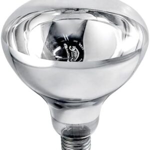 Products: 6w Gu10 Led Bulb 6k