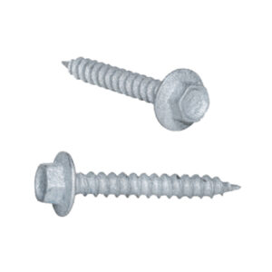 8x20 Ss Pan Self Tapping (100)