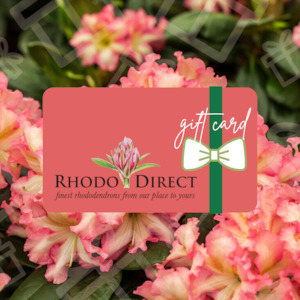 Products: e-Gift Card - RhodoDirect: Rhododendrons Online