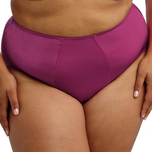 Lingerie: Goddess Kiera Brief Mulberry GD6095